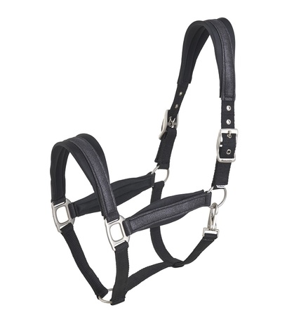 WAHLSTEN CARLET PADDED NYLON HALTER, BLACK WAHLSTEN CARLET PADDED NYLON HALTER, BLACK